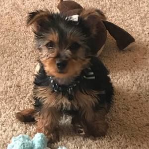 Meet your Posher, Tammy